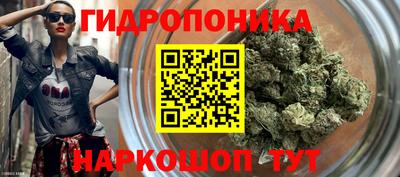 бошки Новозыбков